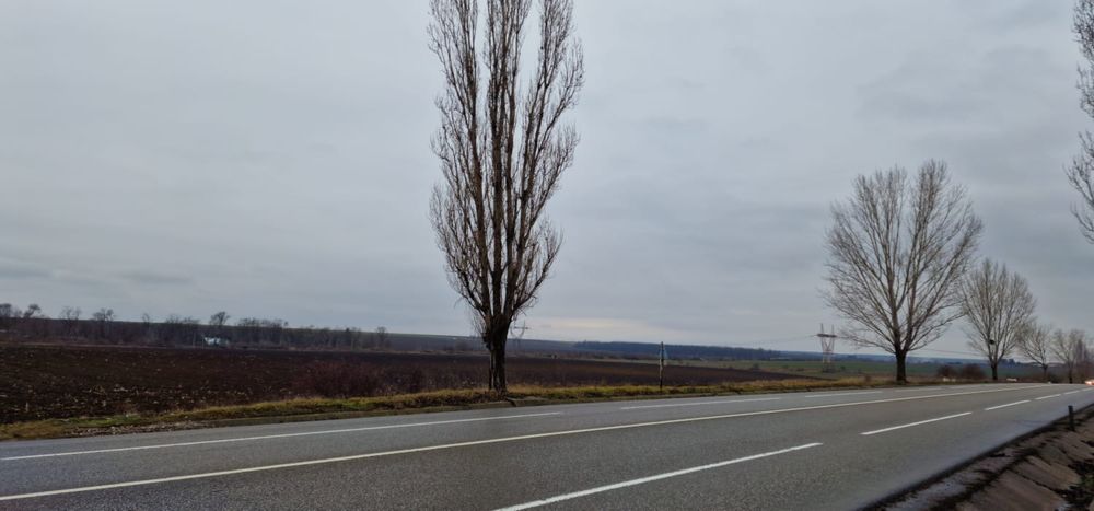 PROPRIETAR-BACAU-BOGDAN VODA-5,3 ha -portofoliu industrial