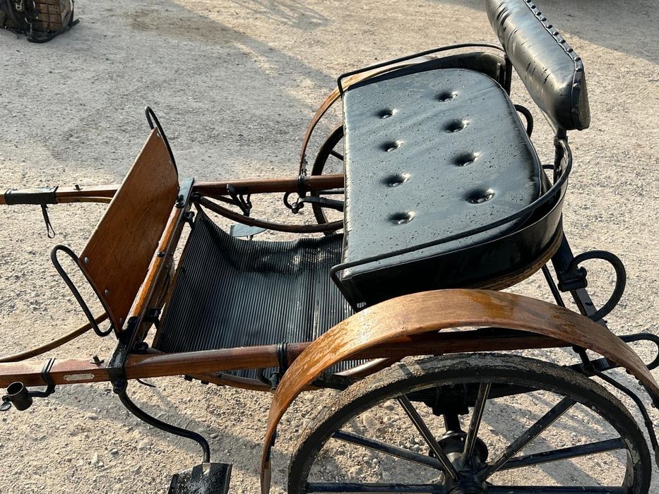 Șareta + Hamuri piele