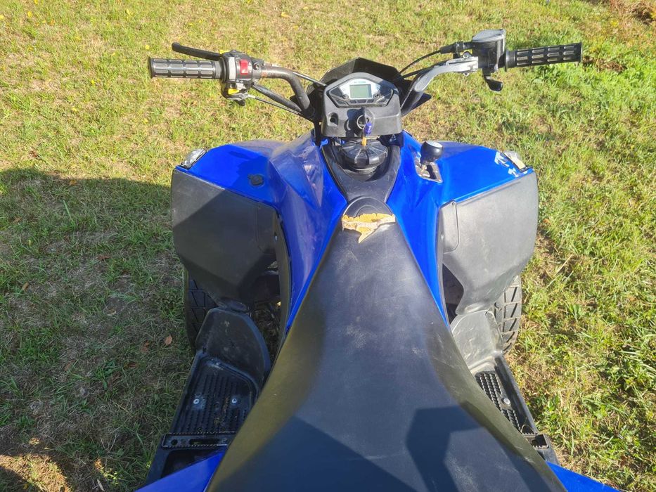 Quad ATV E-ton Vector VXL-250