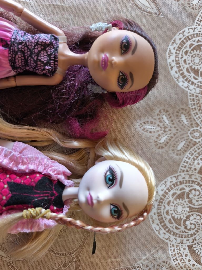 Ever After High Dolls and Monster High