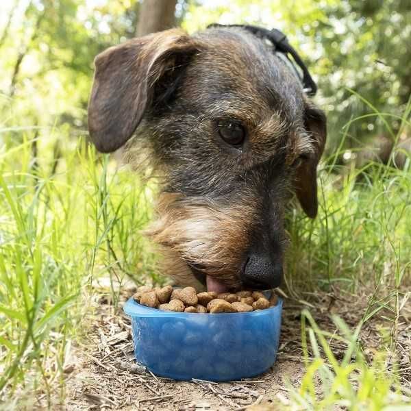 Recipient stocare portabil 2 in 1 pentru caini, pentru apa si mancare