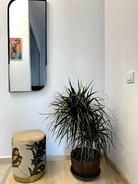 Inchiriere Garsoniera Aqua City | Cu vedere la lac (Direct proprietar)