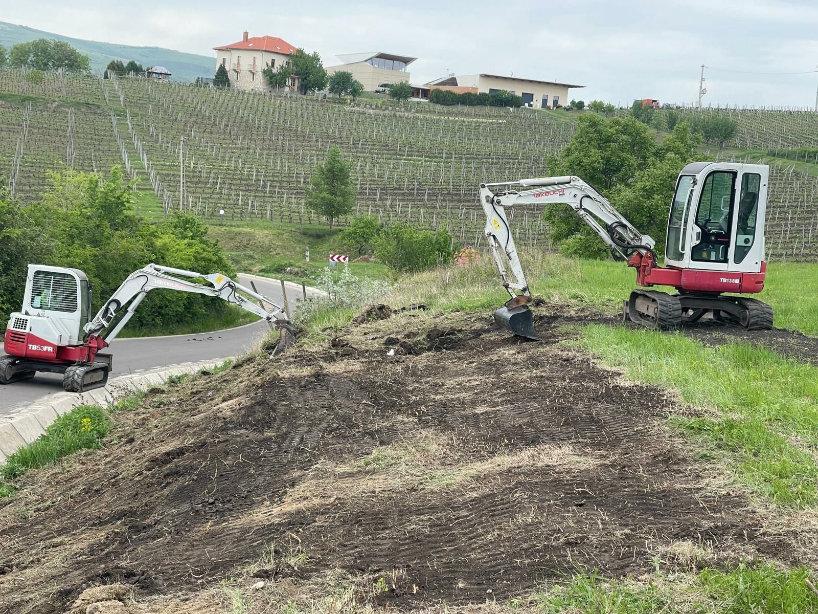 Scoatem radacini copaci vie nivelat defrisat sapat terenuri gradini