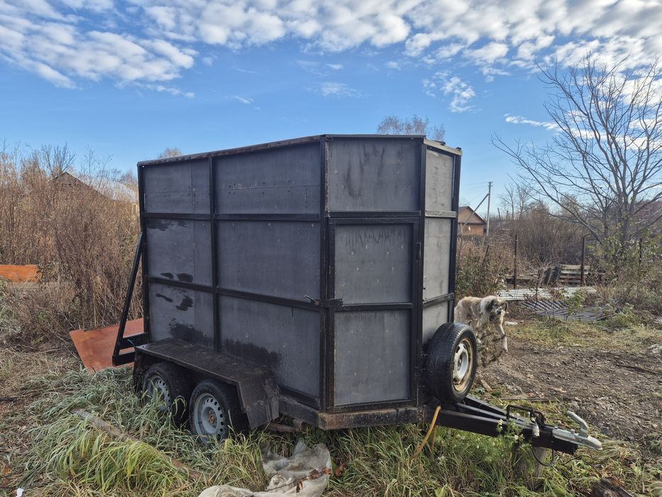 Продам коневозку .