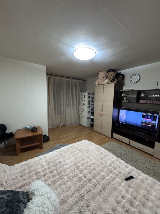 Garsoniera Brazda etaj 1 mobilata - utilată