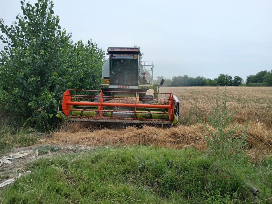 Kilas kanbayin sotiladi xolati yaxshi