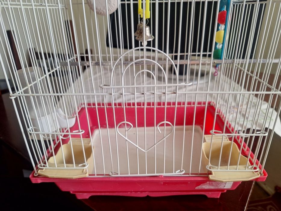 Okazie vand  colivie