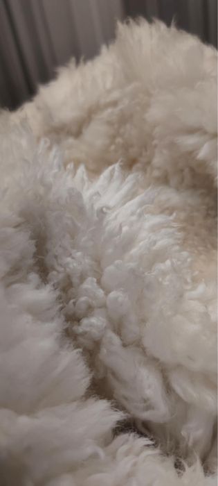 Nordlys чувалче за количка