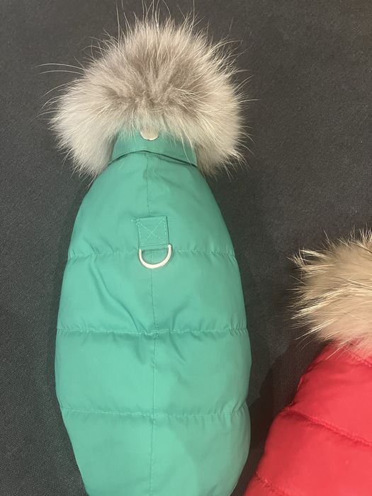 Дрешка за кученце малко