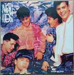 disc vinil New Kids On The Block – Step By Step (1990)