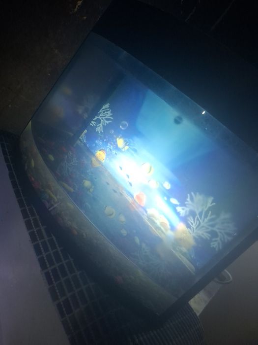 Продам аквариум  с рыбками с обогревателем с кислородом