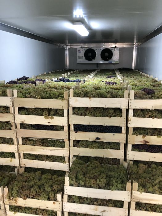 Camera Container frigorific