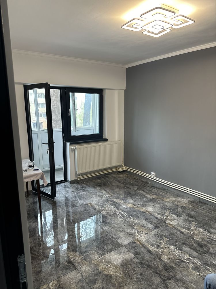 Apartament cu o camera etaj 2 Radu Negru (totul nou)