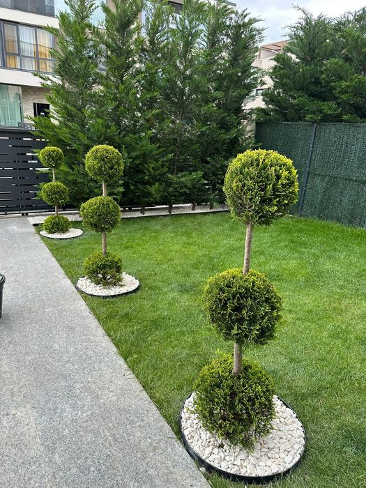 Amenajări Grădini Complete – Plante, Gazon, Piatra Naturală!