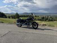 Harley Davidson Sportster Iron XL 883N 2015 Custom