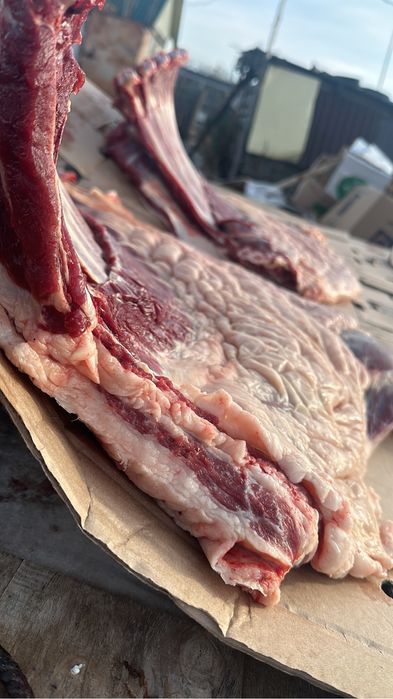 Конина мясо ет тай байтал бие