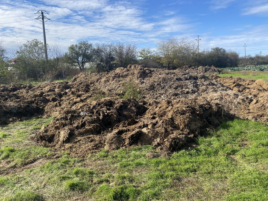 Ingrasamant Gunoi de grajd de oi