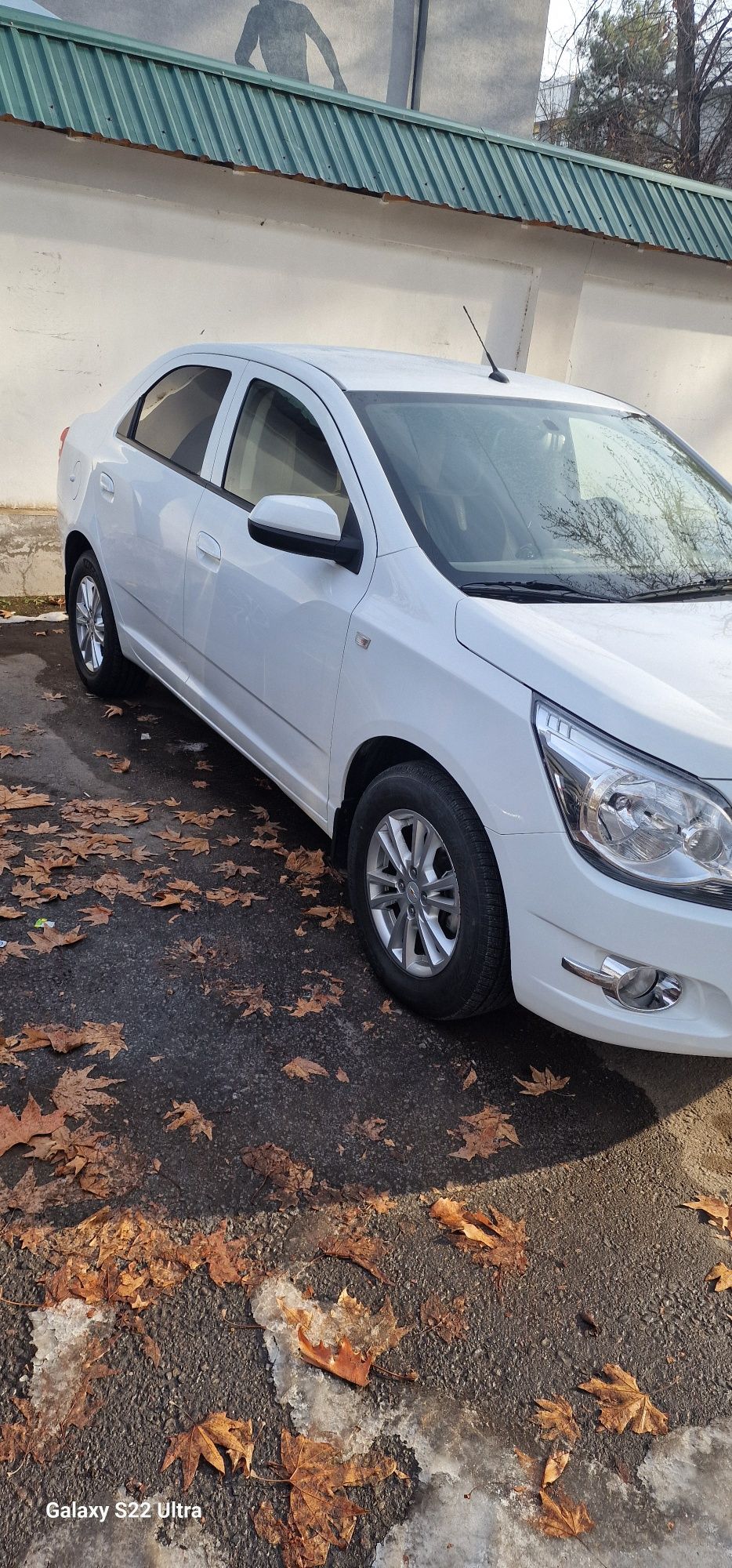 judayam srochna 24 Kobilt Sotiladi