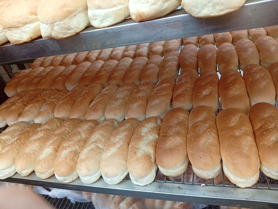 Hoddog va gamburger nonlari sifatli mahsulotlar hammasi bizda mavjud