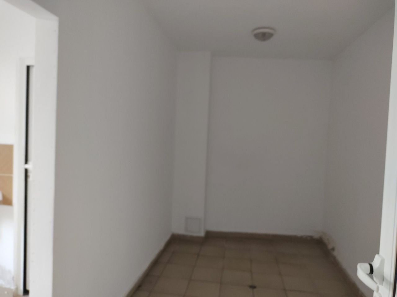 Дава се под наем Промишлена сграда в Лом - 250 кв.м за 306 € - Снимка #4