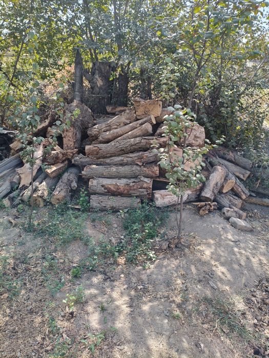 Продам сухие Дрова