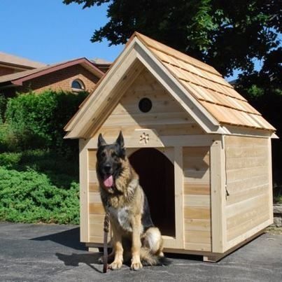 Домики для собак