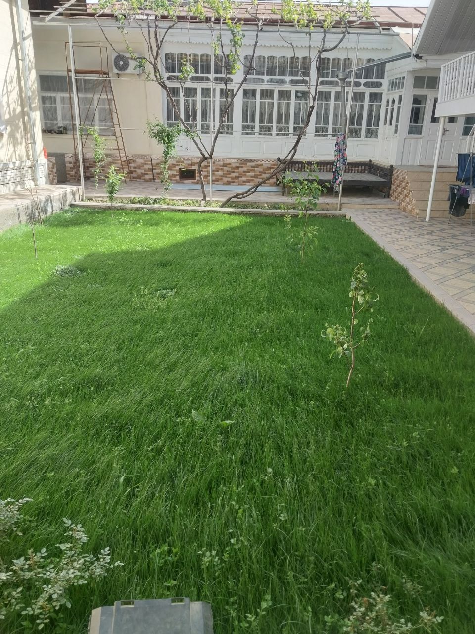 Archa kesish va dorilash xizmati