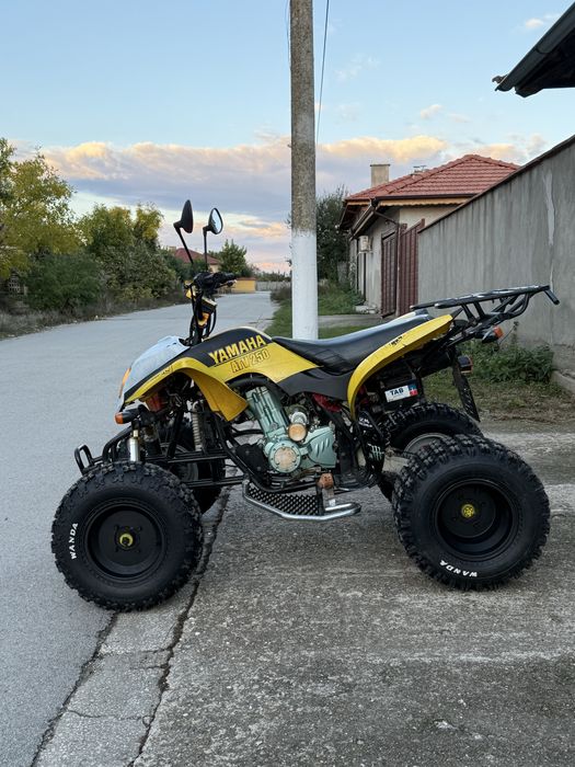 ATV BASHAN 250cc  с документи Атв 250