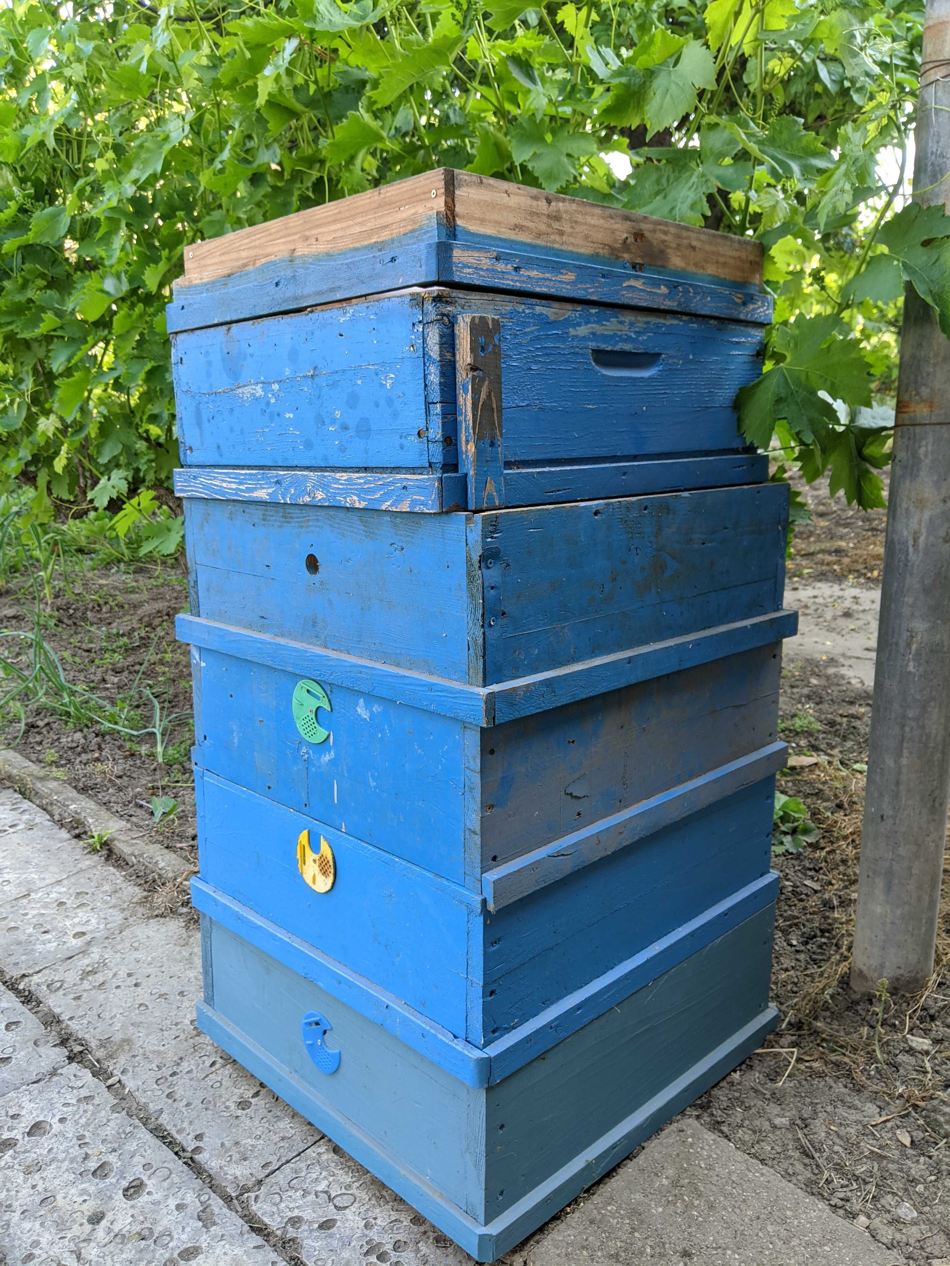 Пчелни кошери и платформа