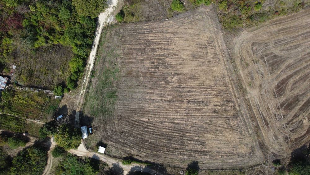 Дава се под наем Парцел в с. Кичево, Област Варна - 6000 кв.м за 204 € - Снимка #6