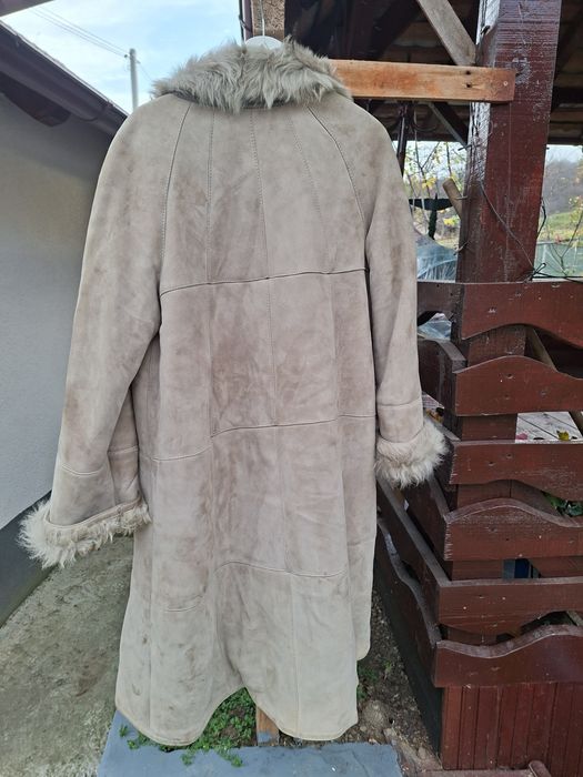 Cojoc alain delon dama