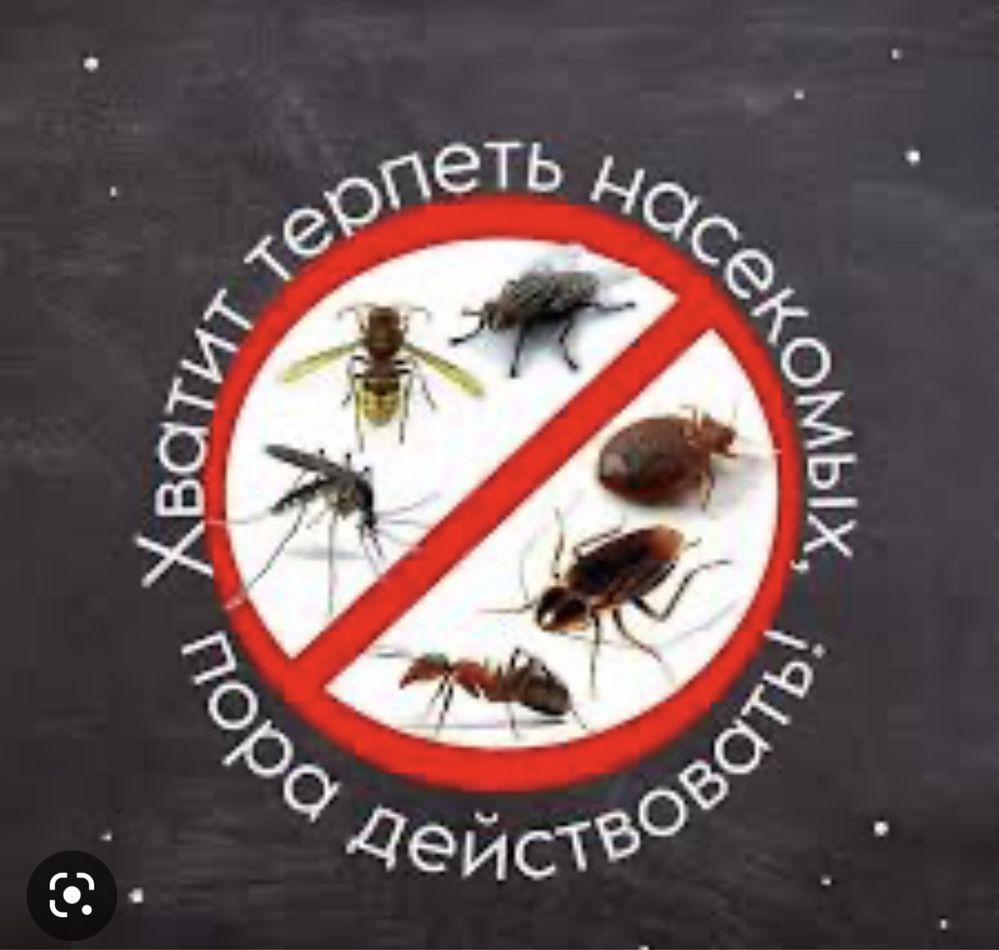 Дезинфекция