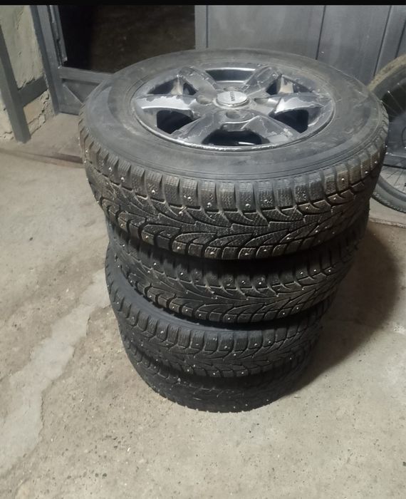 Зимние ризина с дисками