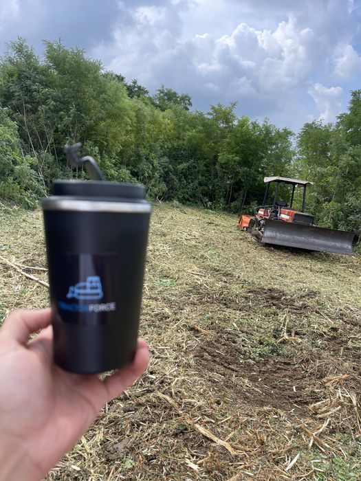 Defrisare, curatare teren, tocare forestiera