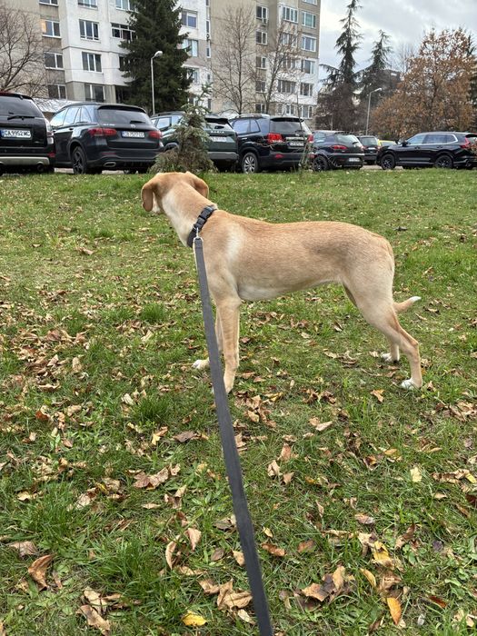 Кари на 8 месеца