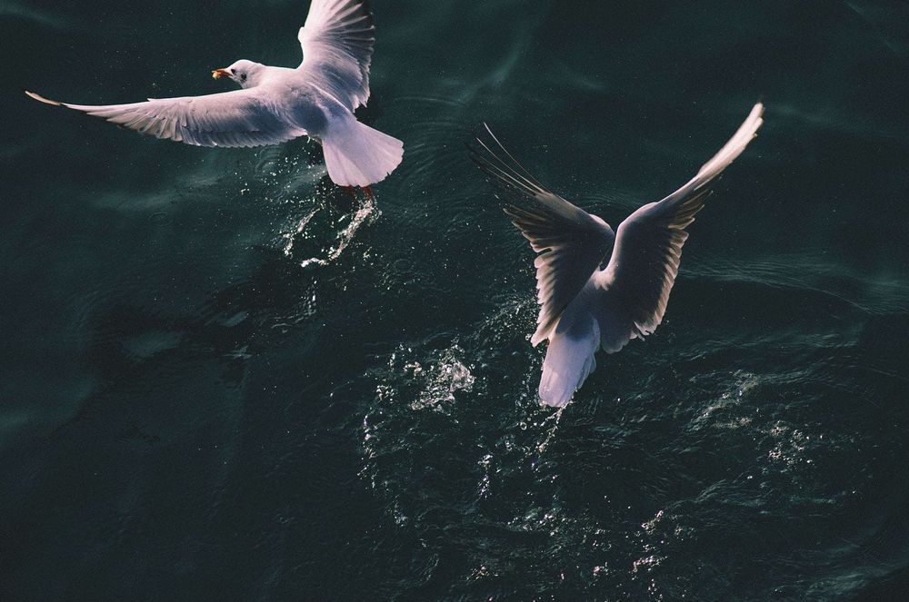 Tamron AF 70-300mm f/4-5.6 LD Di Tele-Macro обектив Никон