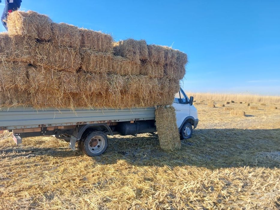 Сабан пресс , саман прес бар үйдің төбесін жабуға , құрылысқа. Жеткізу