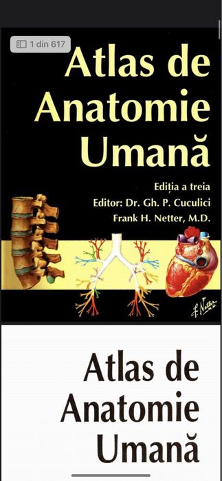 PDF atlas de anatomie umana