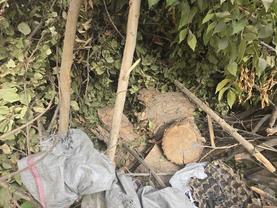 дрова и хонтахта бесплатно õtinlar tekin