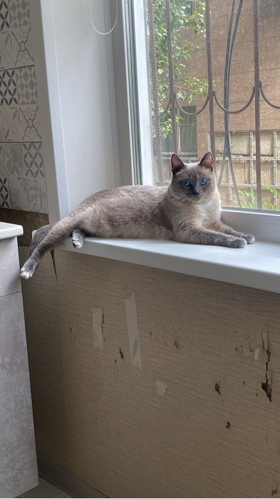 Отдам в хорошие руки