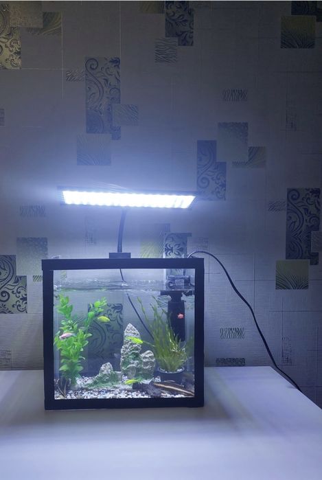 Аквариум рыбками 20 литр