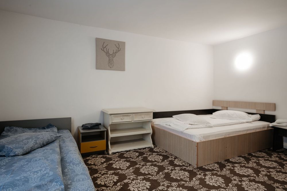 Cabana Wild Wolf cu ciubar