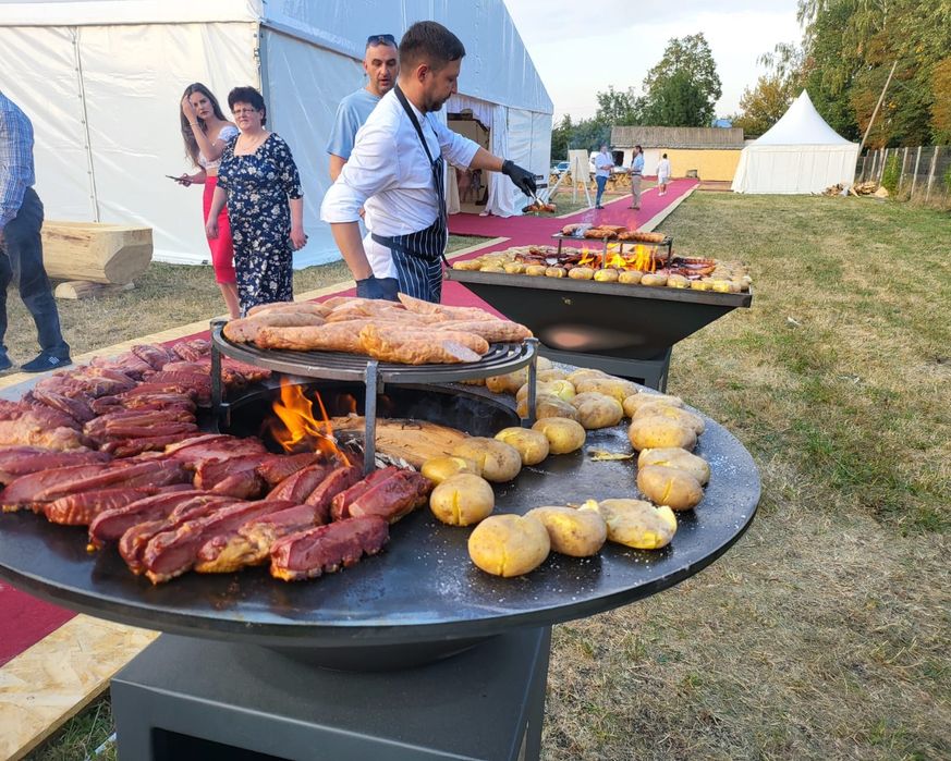 Grătare cu plita Favgrill