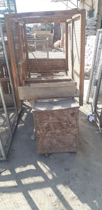 Tovuq Kataklar sotiladi.