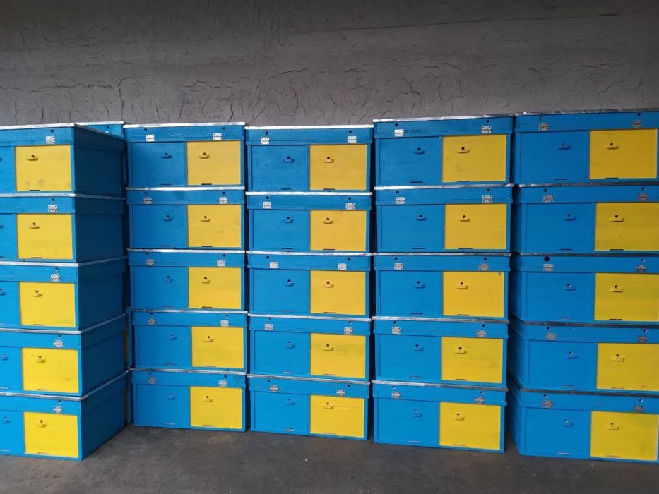 Asalari uyalari пчёл