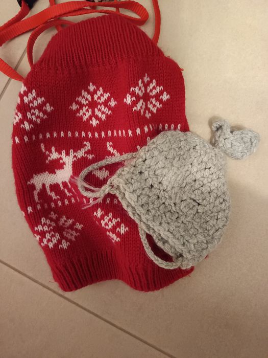 Accesorii pentru pisicuțe