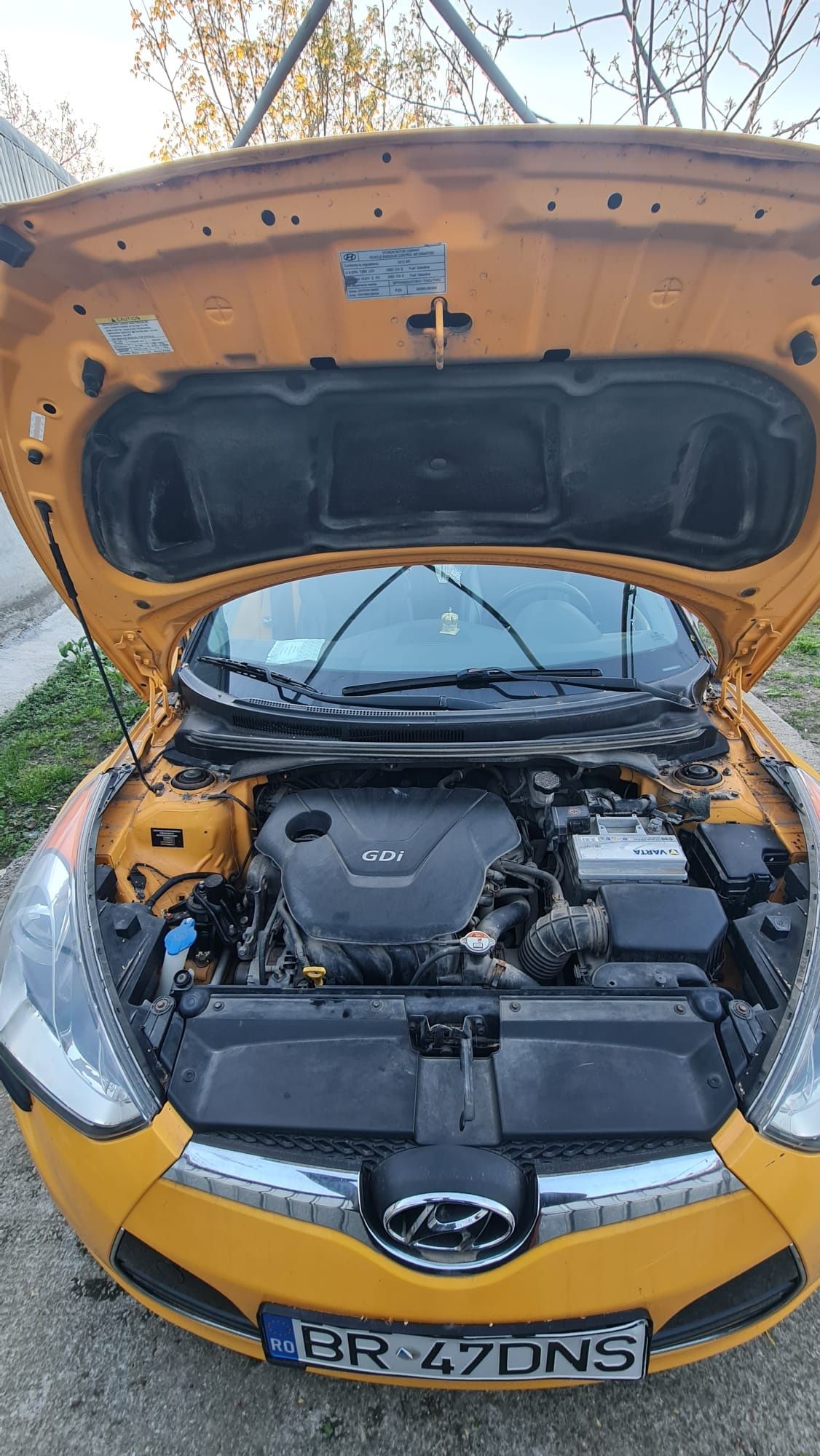 Hyundai veloster