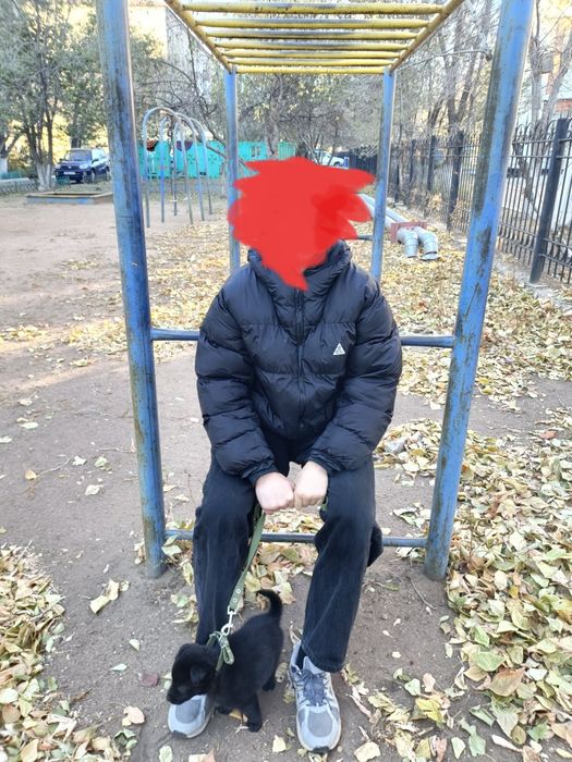 Одам щенка в хорошие руки