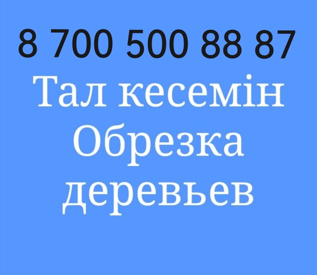 Тал кесемін.  Спил деревьев