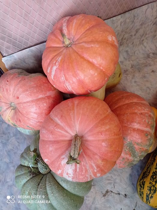 Продукты питания